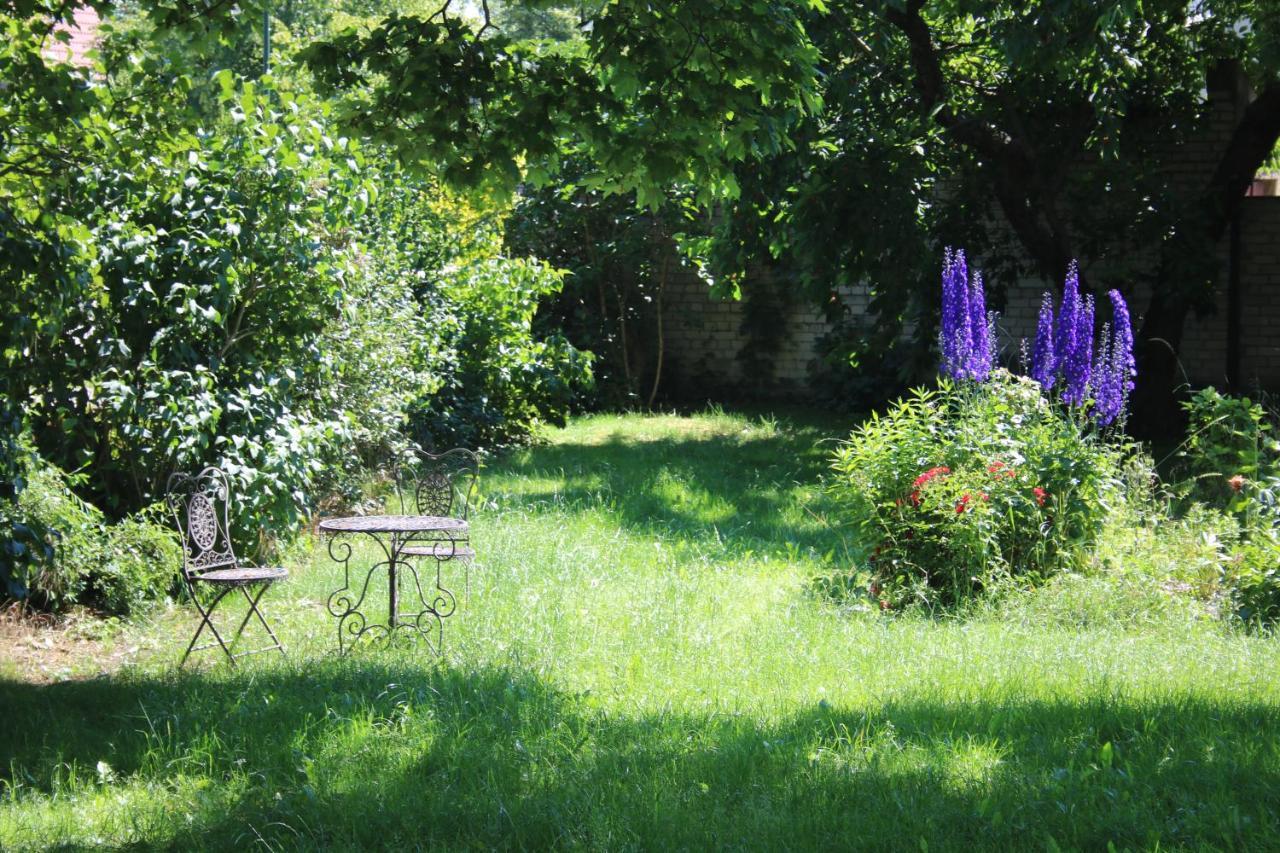Ferienwohnung Am Weltnaturerbe Grumsin Ziehten エクステリア 写真