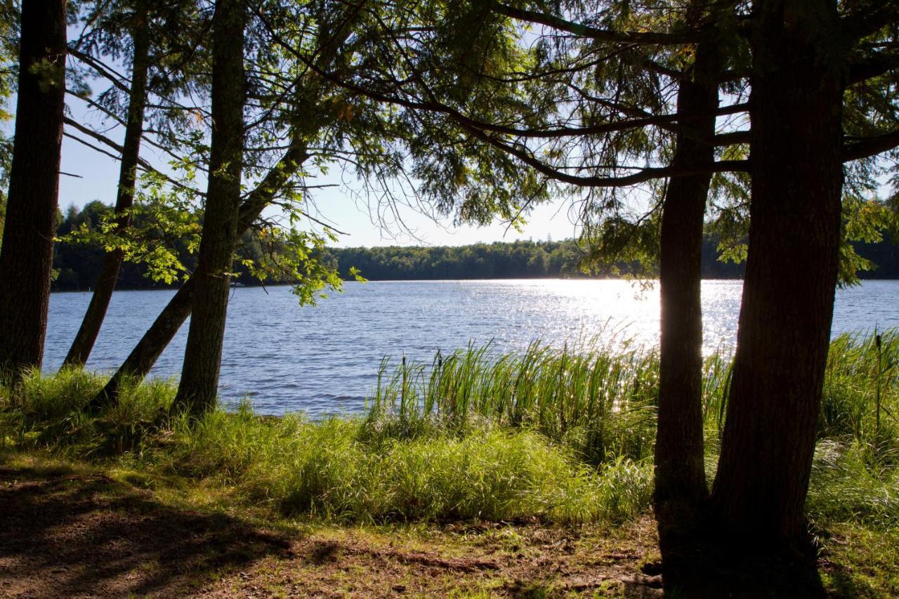 Ferienwohnung Am Weltnaturerbe Grumsin Ziehten エクステリア 写真