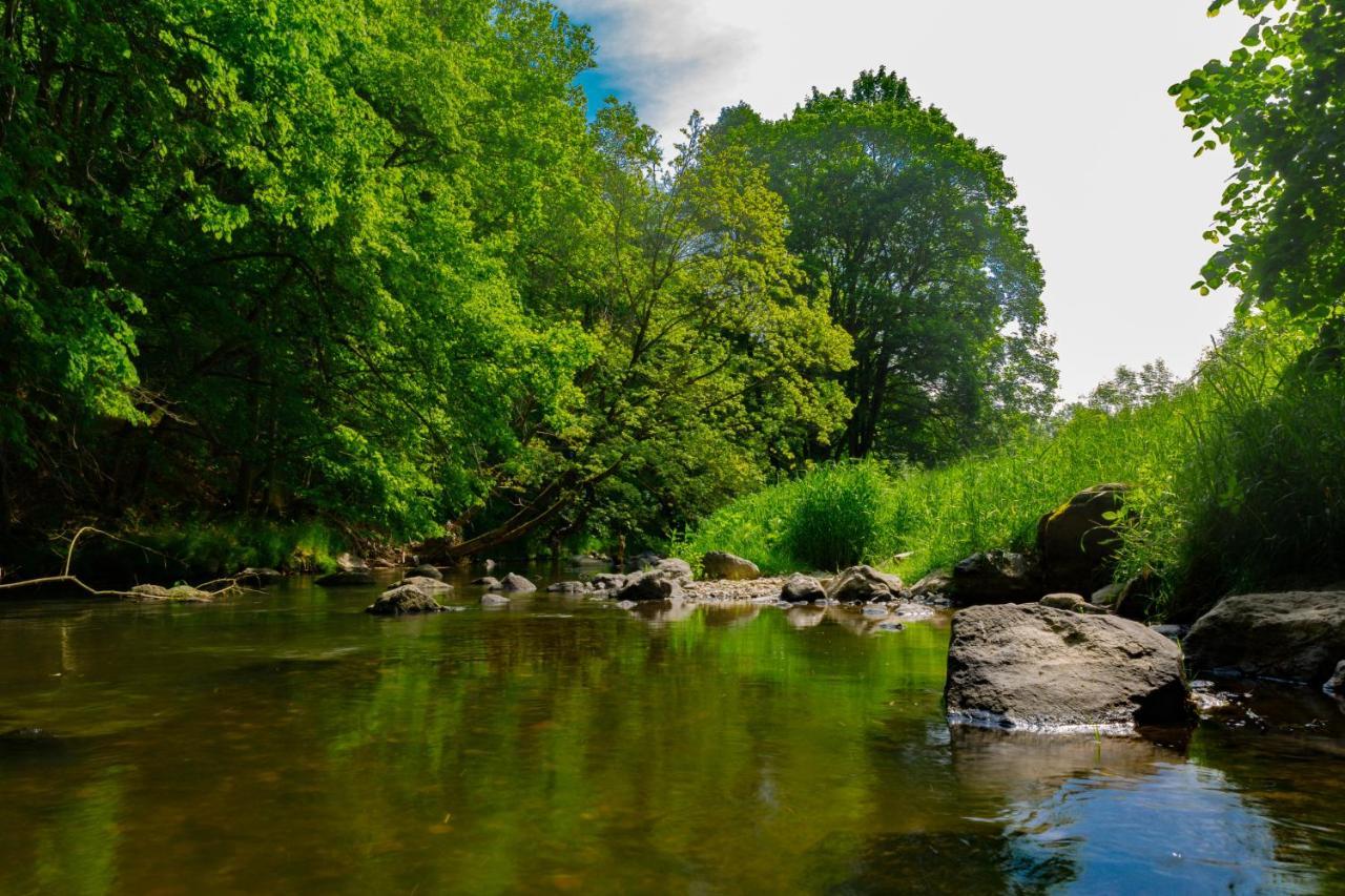 Ferienwohnung Am Weltnaturerbe Grumsin Ziehten エクステリア 写真