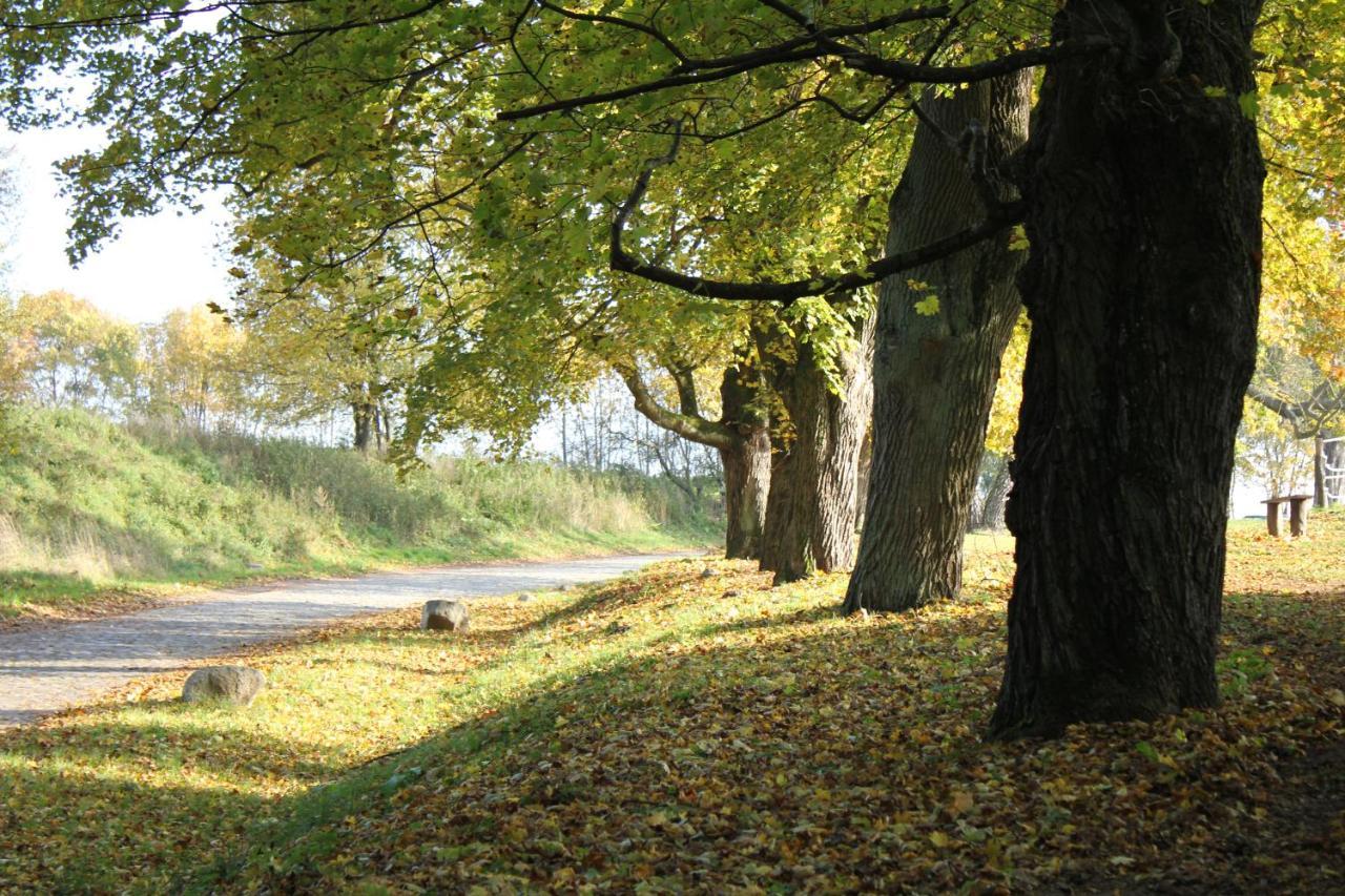 Ferienwohnung Am Weltnaturerbe Grumsin Ziehten エクステリア 写真