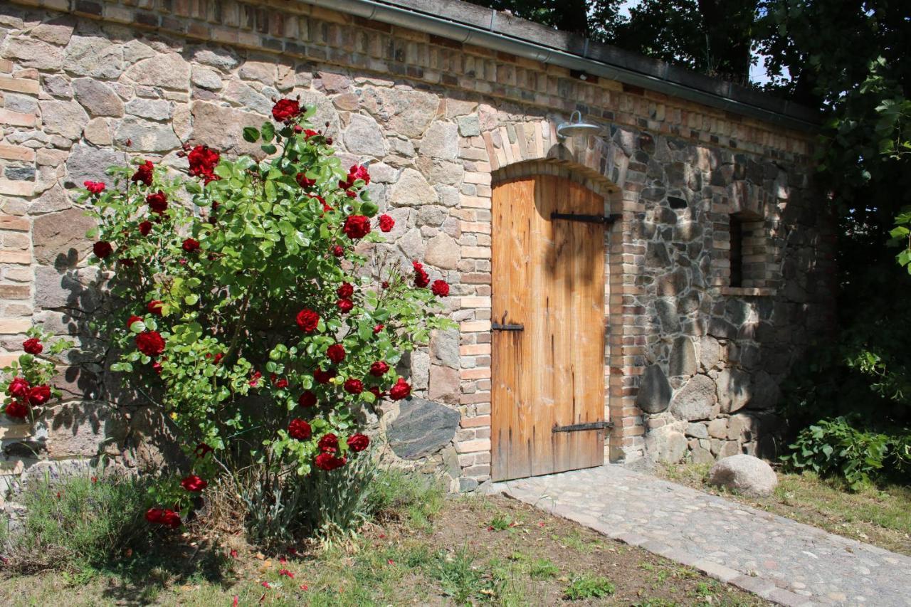 Ferienwohnung Am Weltnaturerbe Grumsin Ziehten エクステリア 写真